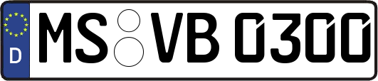 MS-VB0300