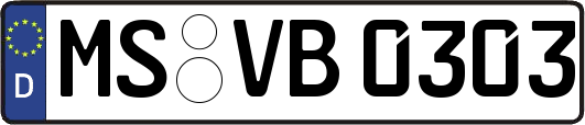 MS-VB0303