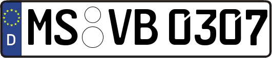 MS-VB0307