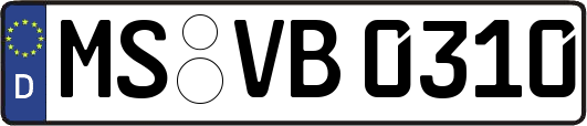 MS-VB0310