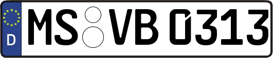 MS-VB0313
