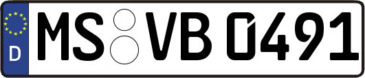 MS-VB0491
