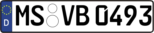 MS-VB0493
