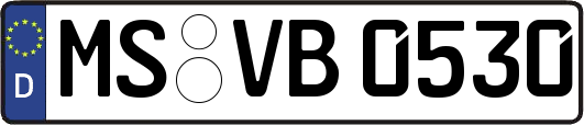 MS-VB0530