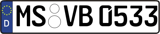 MS-VB0533