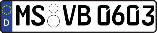 MS-VB0603