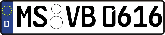 MS-VB0616