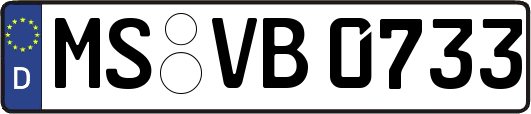 MS-VB0733