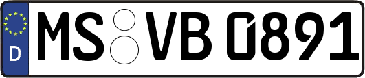 MS-VB0891