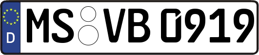 MS-VB0919