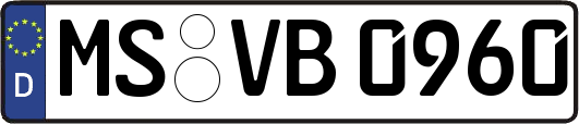 MS-VB0960