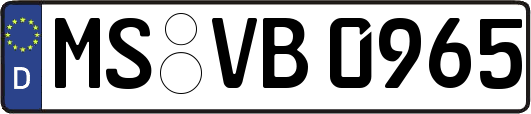 MS-VB0965