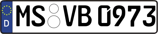 MS-VB0973