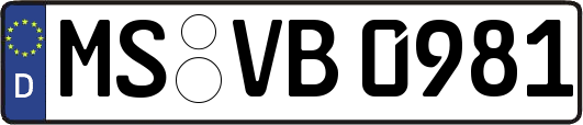 MS-VB0981