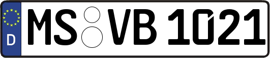 MS-VB1021