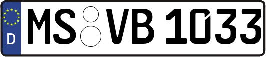 MS-VB1033