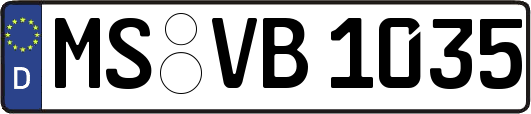 MS-VB1035