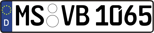 MS-VB1065