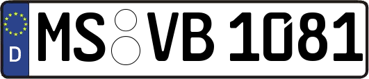 MS-VB1081