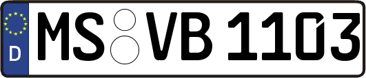 MS-VB1103