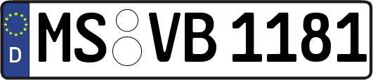 MS-VB1181