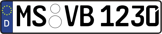MS-VB1230
