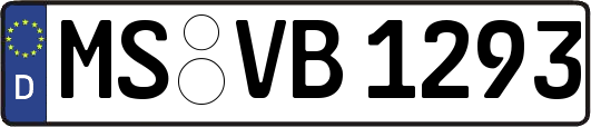 MS-VB1293