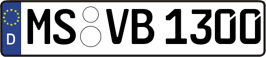 MS-VB1300