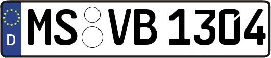 MS-VB1304