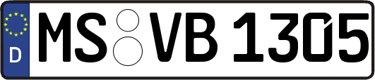 MS-VB1305