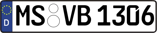 MS-VB1306