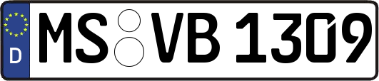 MS-VB1309