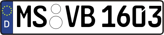MS-VB1603