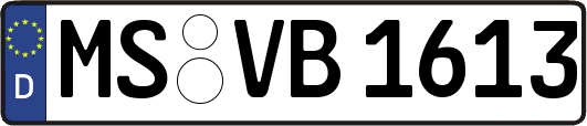 MS-VB1613