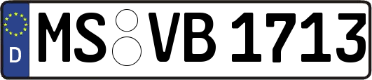 MS-VB1713