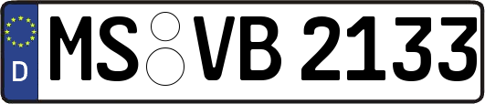 MS-VB2133