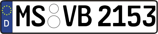 MS-VB2153