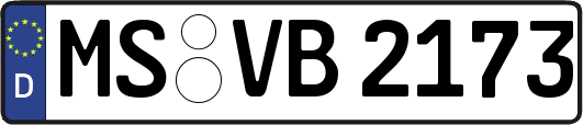 MS-VB2173