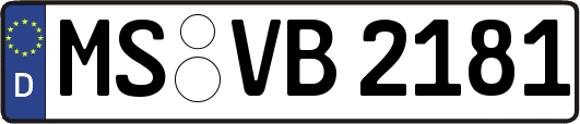 MS-VB2181