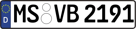 MS-VB2191
