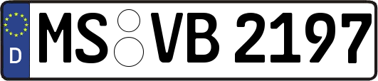 MS-VB2197