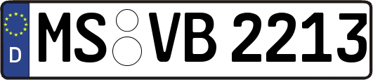 MS-VB2213