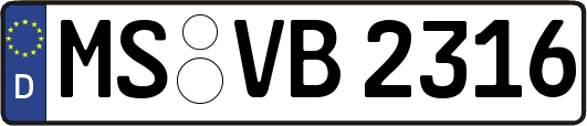 MS-VB2316