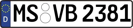 MS-VB2381
