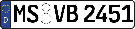 MS-VB2451
