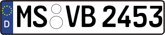 MS-VB2453