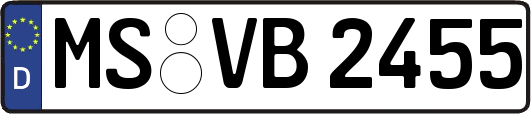 MS-VB2455