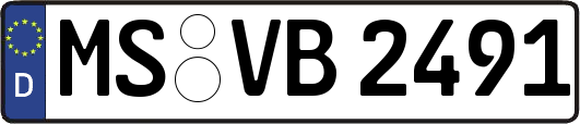 MS-VB2491