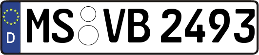 MS-VB2493