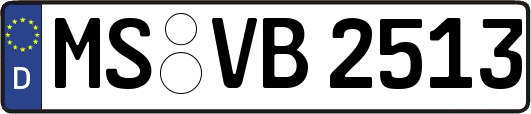MS-VB2513